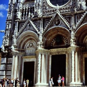 Meet your Posher, Susan